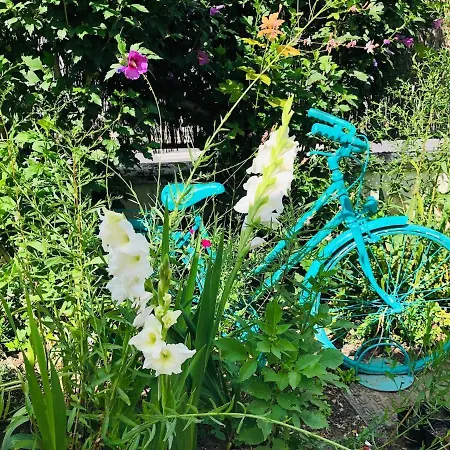 2 Cocon Garden Between Paris And * Neuilly-sur-Marne