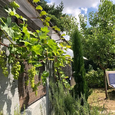 2 Cocon Garden Between Paris And Σπίτι διακοπών Neuilly-sur-Marne